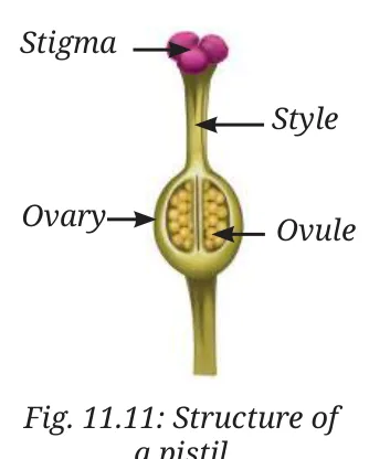 Fig 11.11