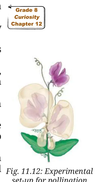 Fig 11.12