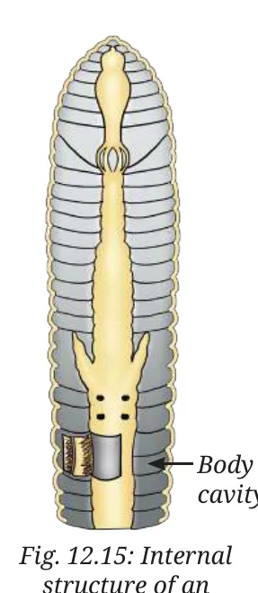 Fig 12.15