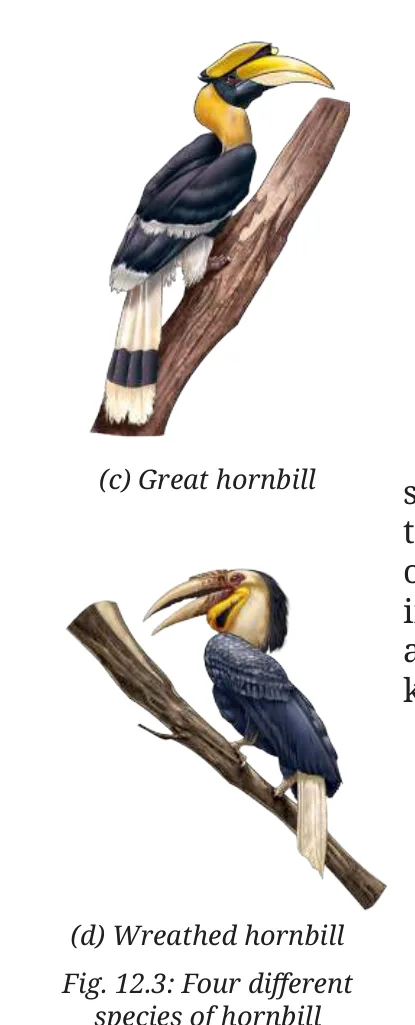 Fig 12.3