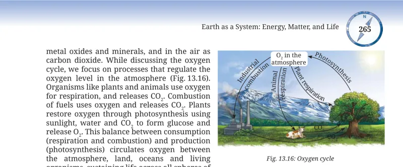 Fig 13.16