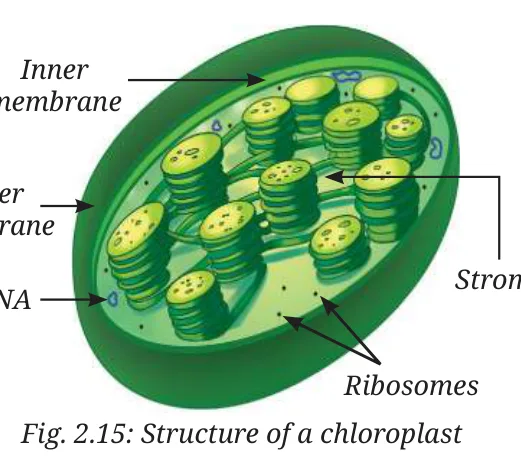 Fig 2.15