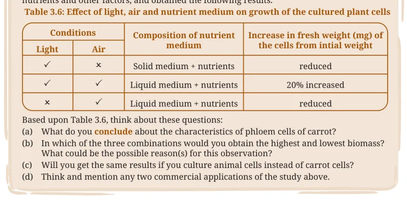 Table 3.6